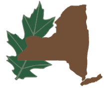 NY Land Quest logo